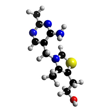 B1, Thiamin