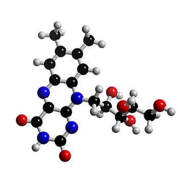 Vitamin B2, Riboflavin